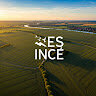 incee