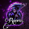 RoeveNn