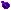 seed_purple.gif
