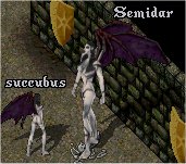 uo_semidar.jpg
