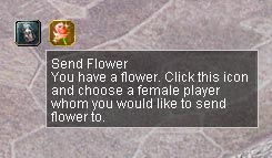 flower_0811124.jpg