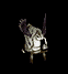 warcraft0557.gif