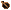 seed_orange.gif
