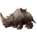 woolyrhinomount.jpg
