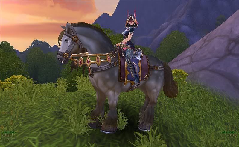 RedRoanRunner.jpg