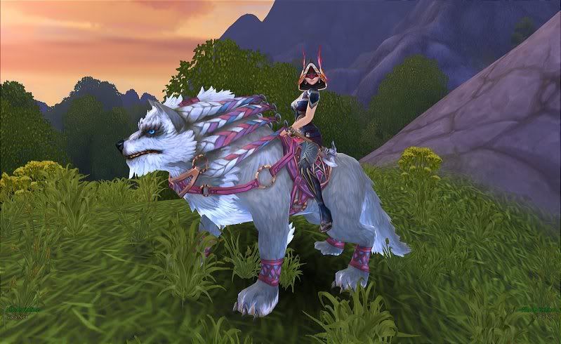 LightGrayWolf.jpg