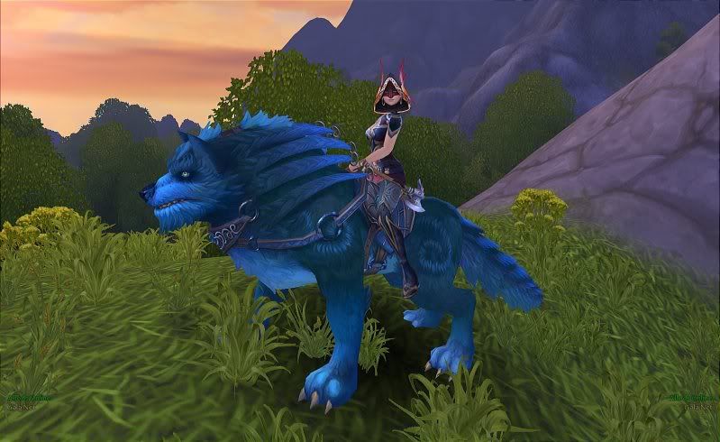 TurquoiseWolf.jpg