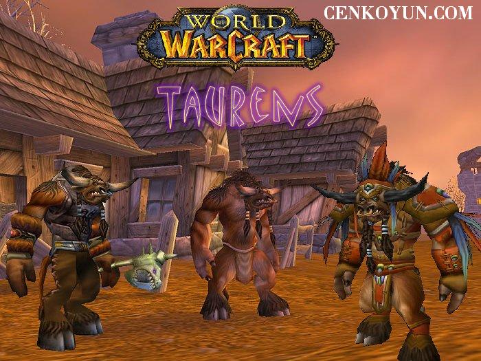 wow4.jpg