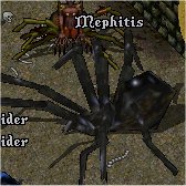 uo_mephitis.jpg
